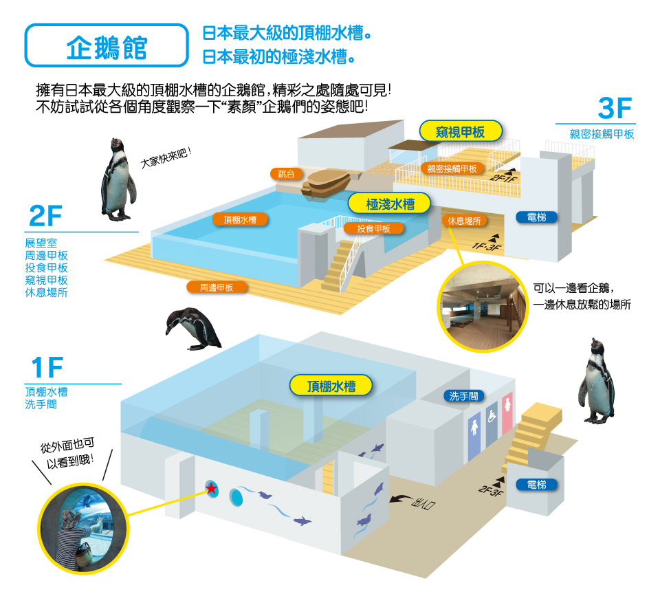 擁有日本最大級的頂棚水槽的企鵝館，精彩之處隨處可見！不妨試試從各個角度觀察一下“素顏”企鵝們的姿態吧！日本最大級的頂棚水槽。 / 日本最初的極淺水槽。