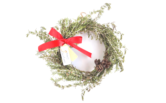 Event 九十九島動植物園 森閃閃