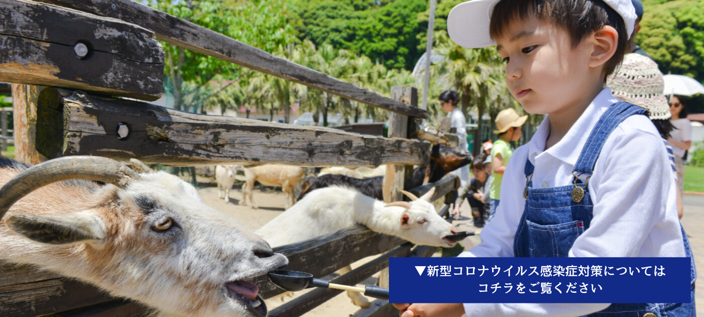 九十九島動植物園森きらら