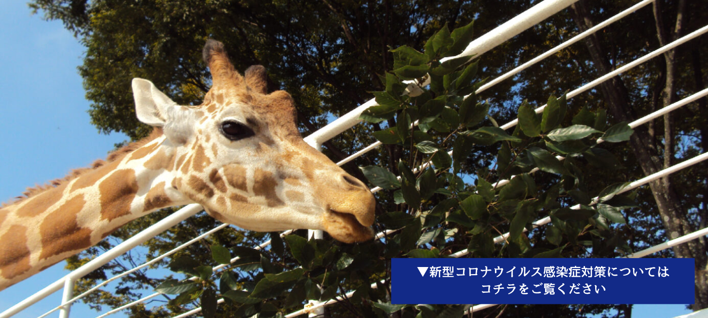 九十九島動植物園森きらら